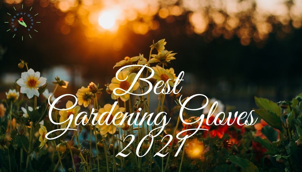 Best Gardening Gloves 2021